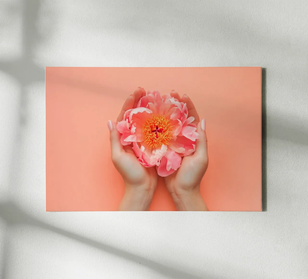 Pink Peony in Hands on Soft Background canvas with Floater frame by Lisa Artifexia