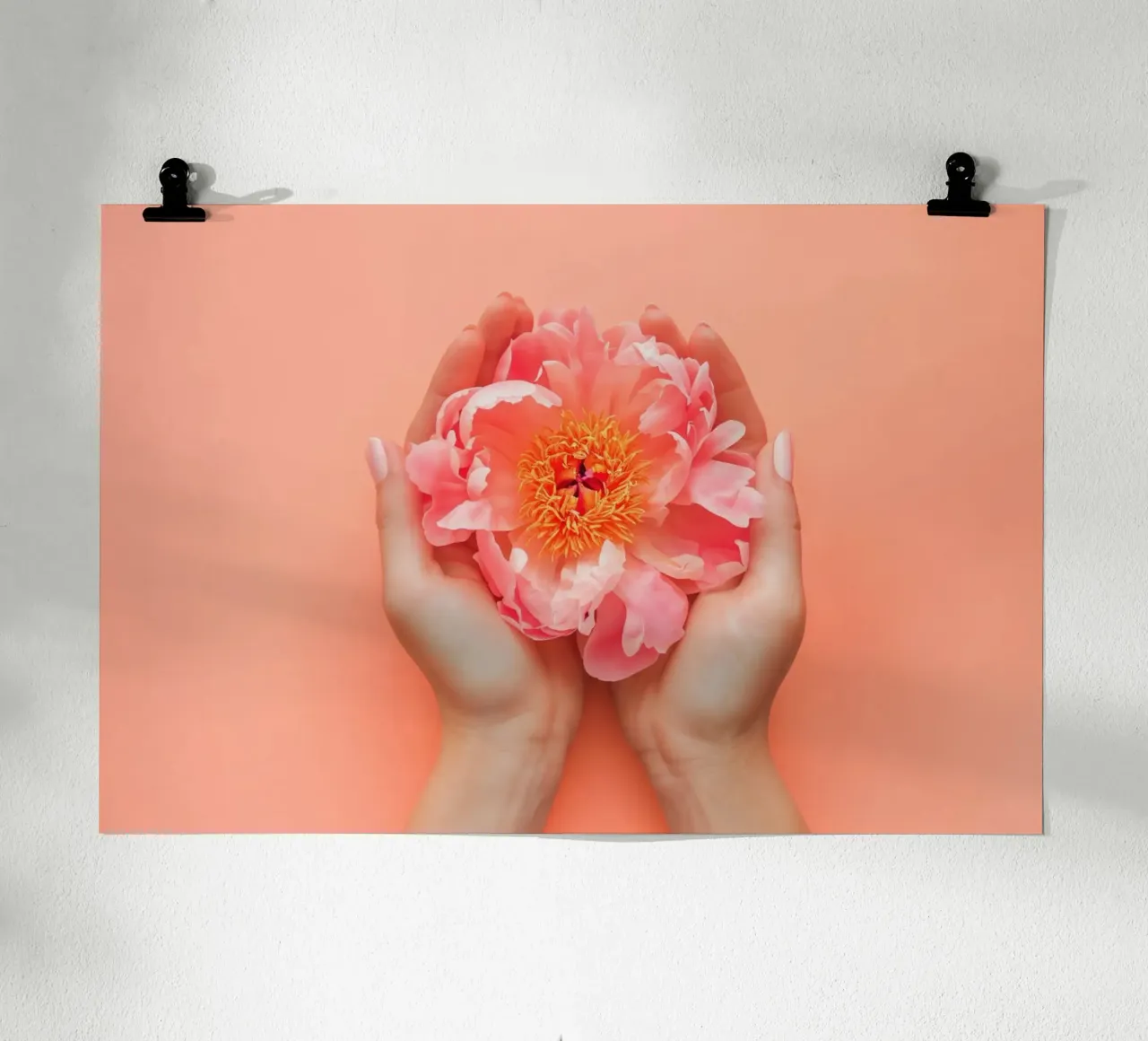 Peonia rosa tra le mani su sfondo morbido poster con telaio in plastica da Lisa Artifexia