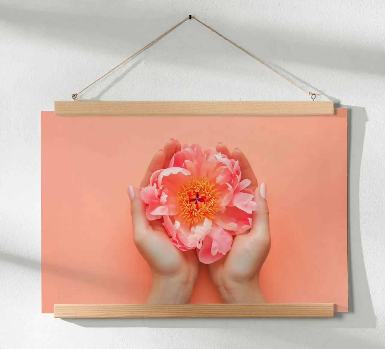 Peonia rosa tra le mani su sfondo morbido poster con telaio in plastica da Lisa Artifexia