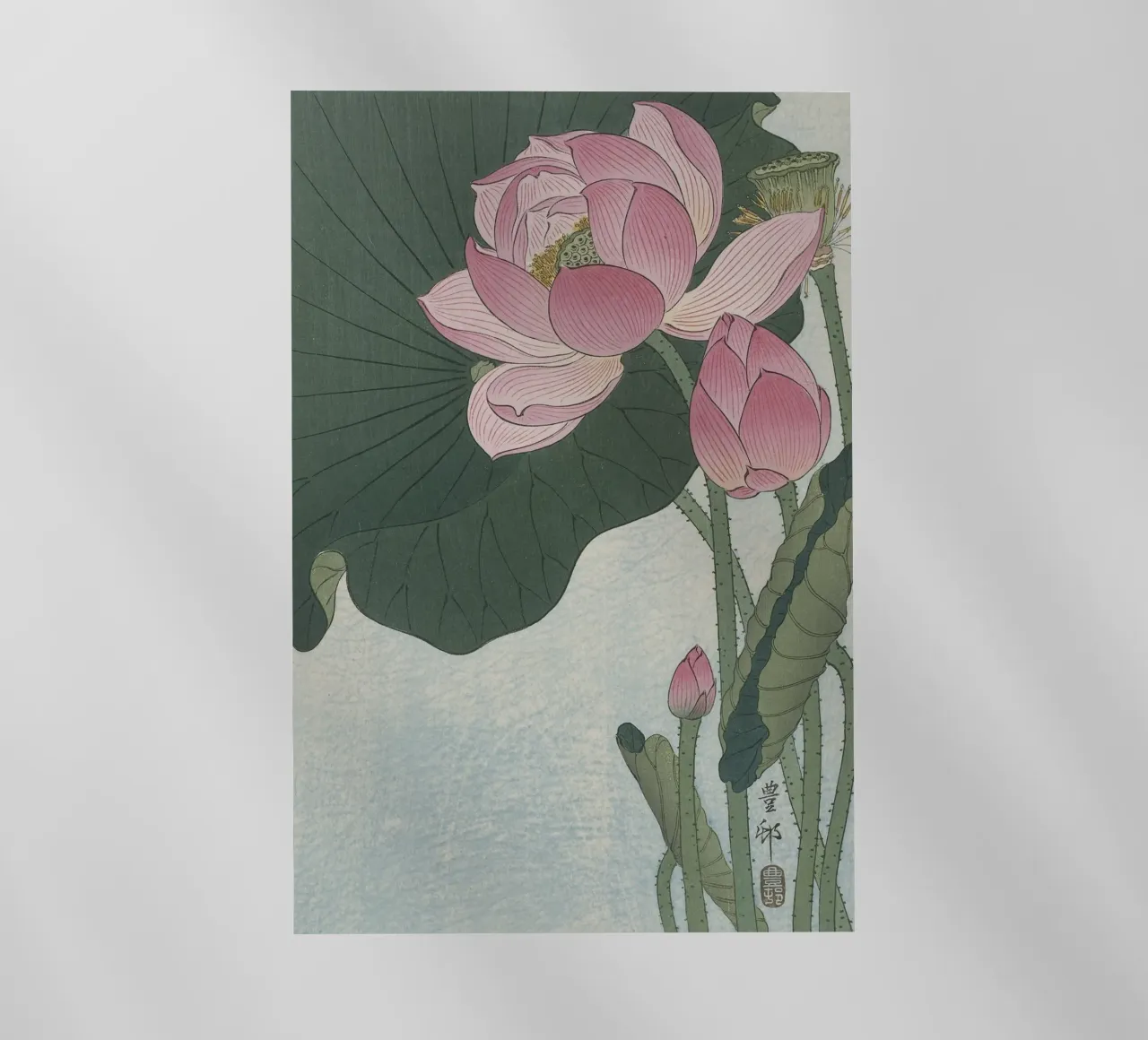 Fiori di loto in fiore - Ohara Koson pellicola backlit da William Store