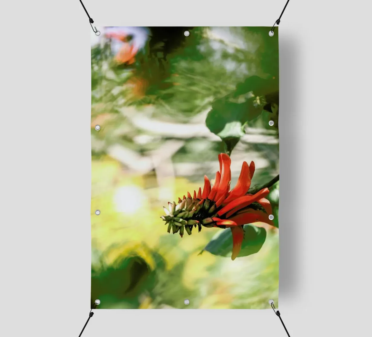 Coral Tree telo in pvc da Shot By Clint
