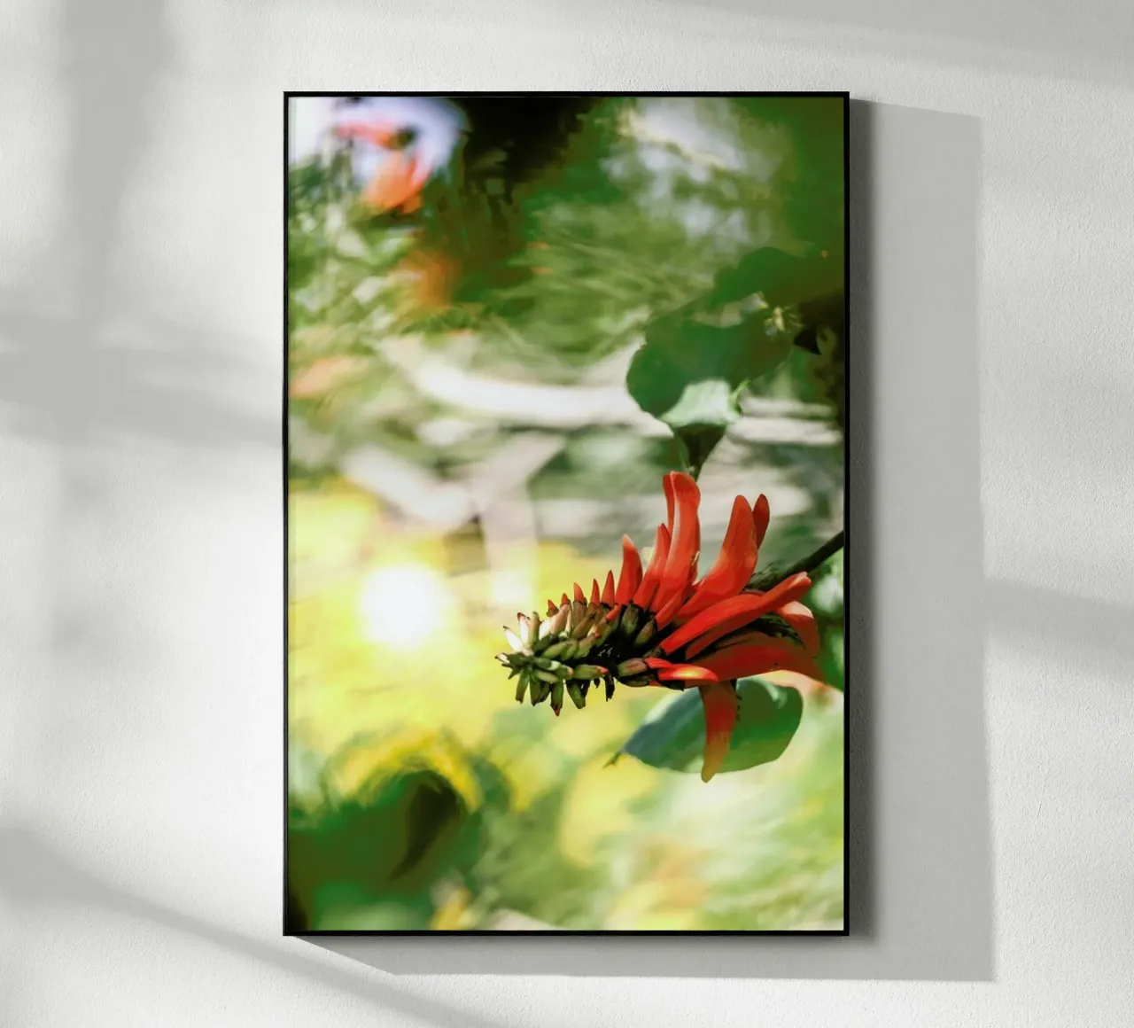 Coral Tree plexiglass da Shot By Clint