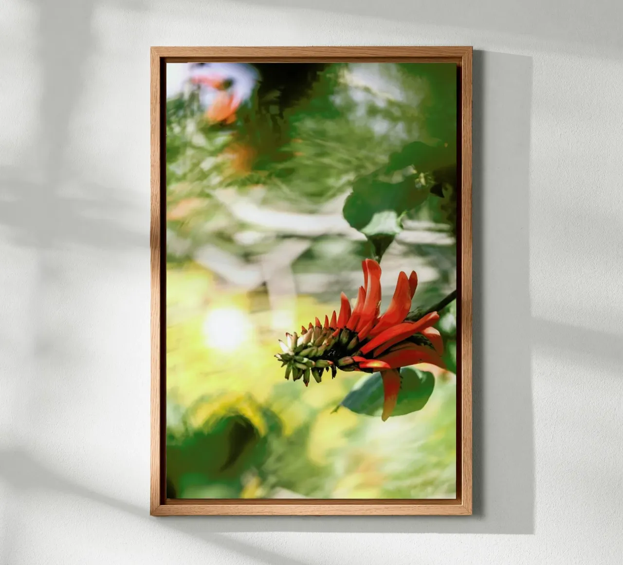 Coral Tree canvas by Shot By Clint