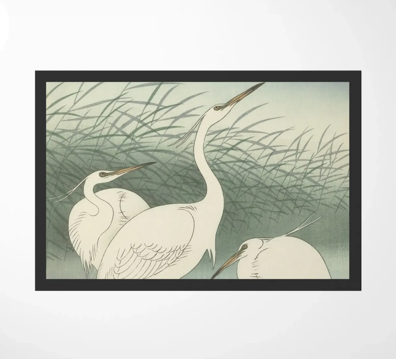 Aironi in acque basse - Ohara Koson zerbino da William Store
