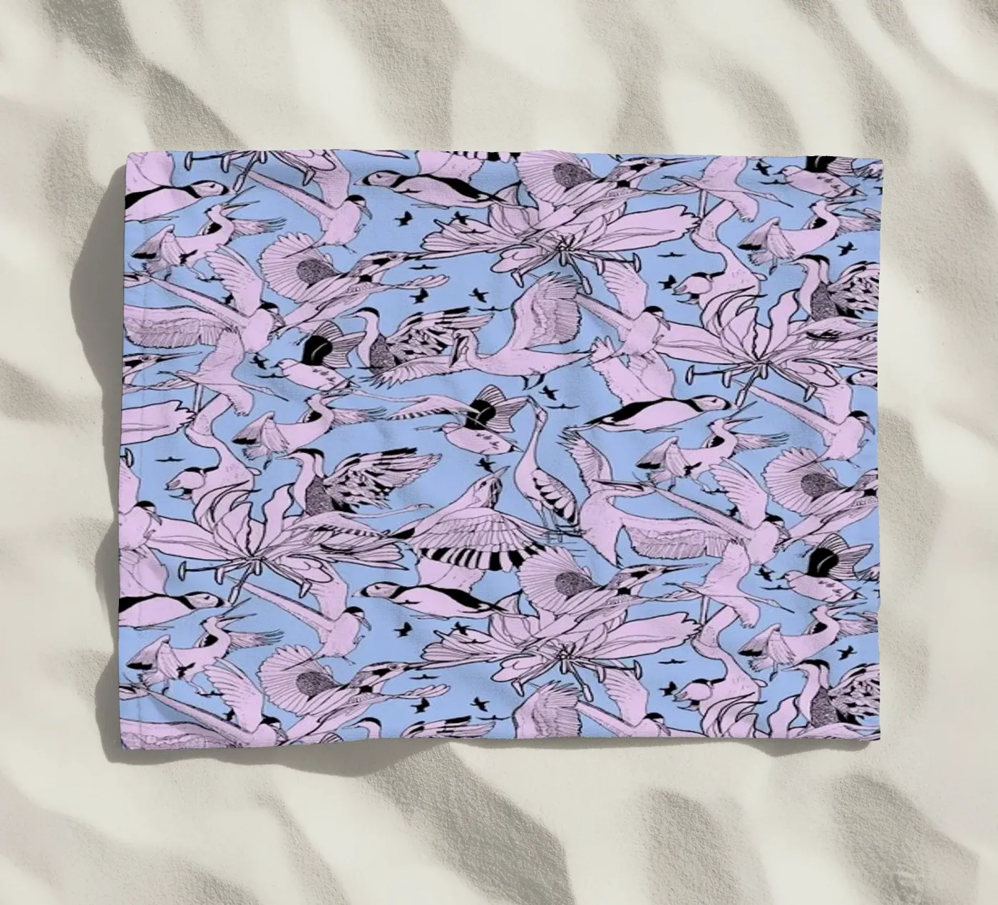 Uccelli telo mare da Giulio Iurissevich