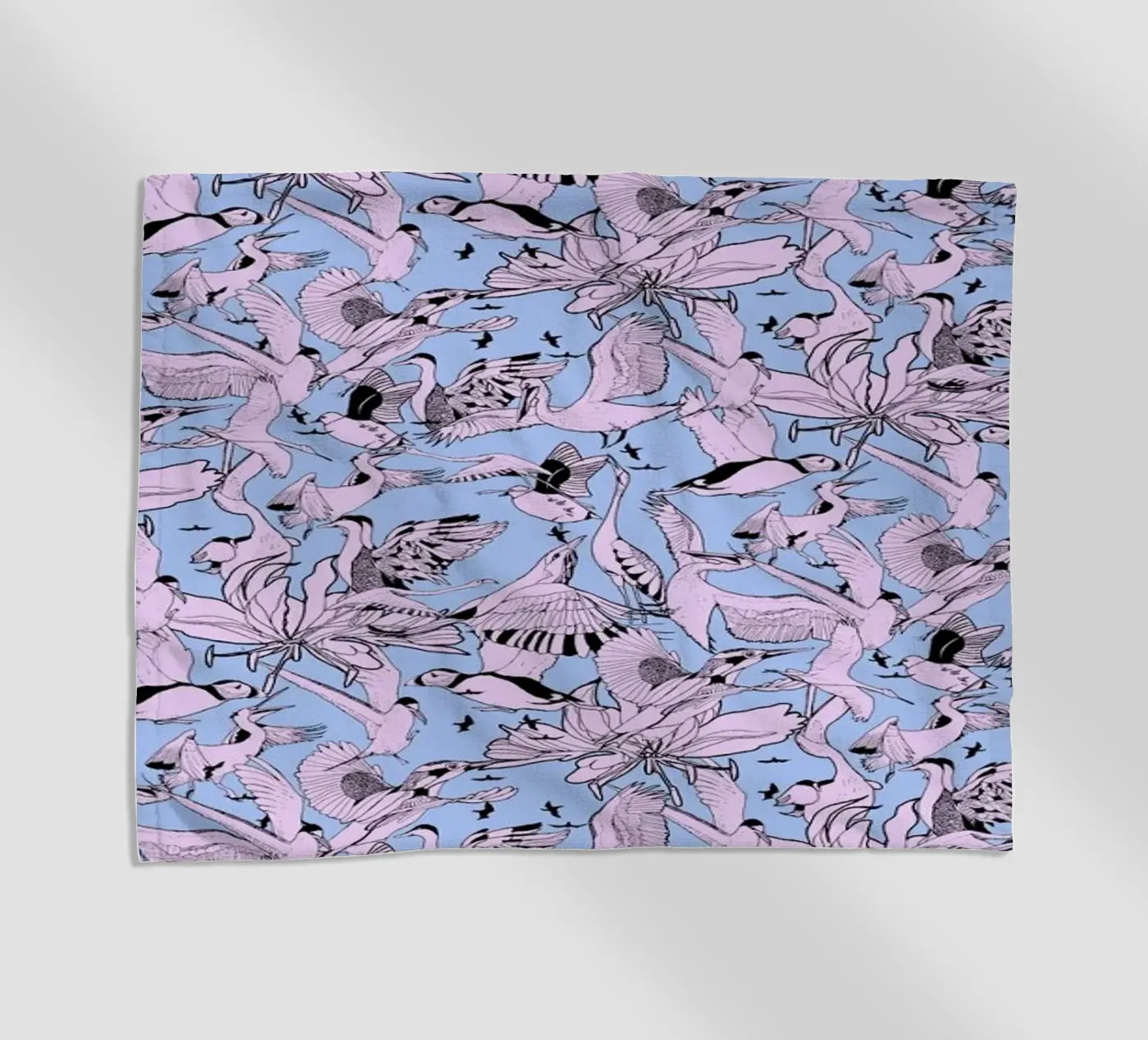 Uccelli telo mare da Giulio Iurissevich