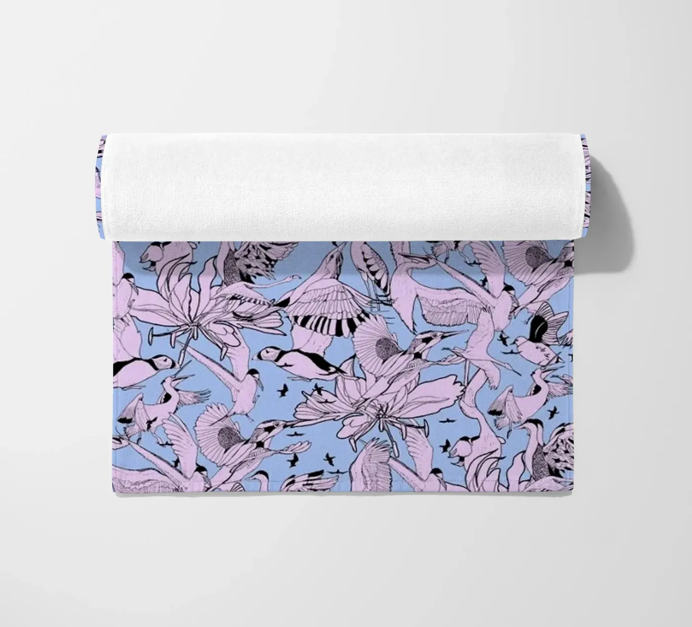 Uccelli telo mare da Giulio Iurissevich