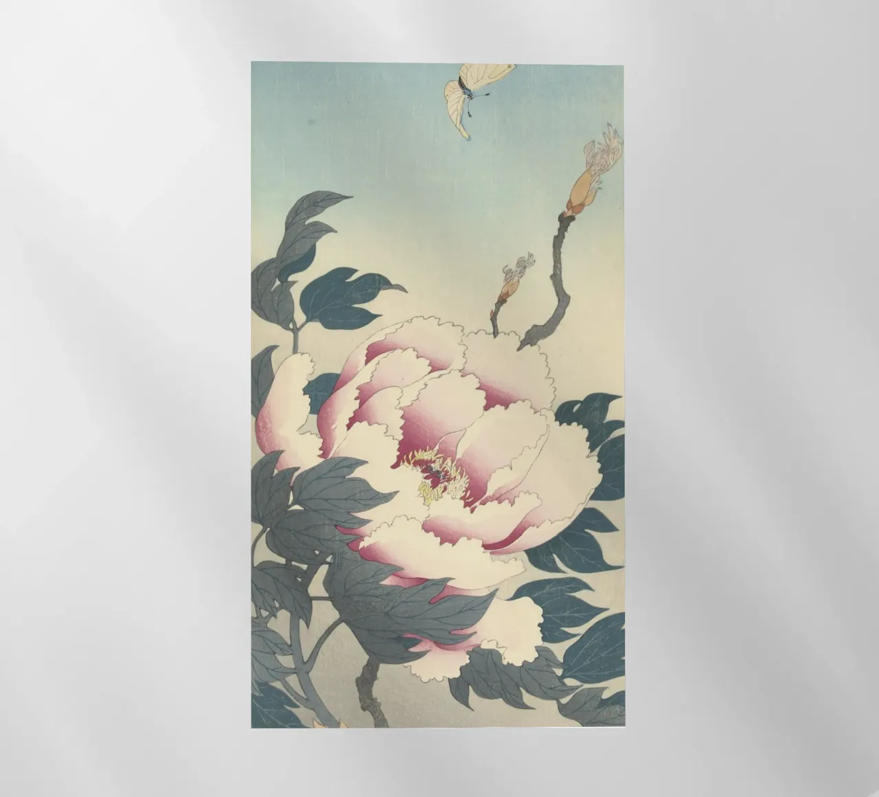 Peonia con farfalla - Ohara Koson pellicola backlit da William Store