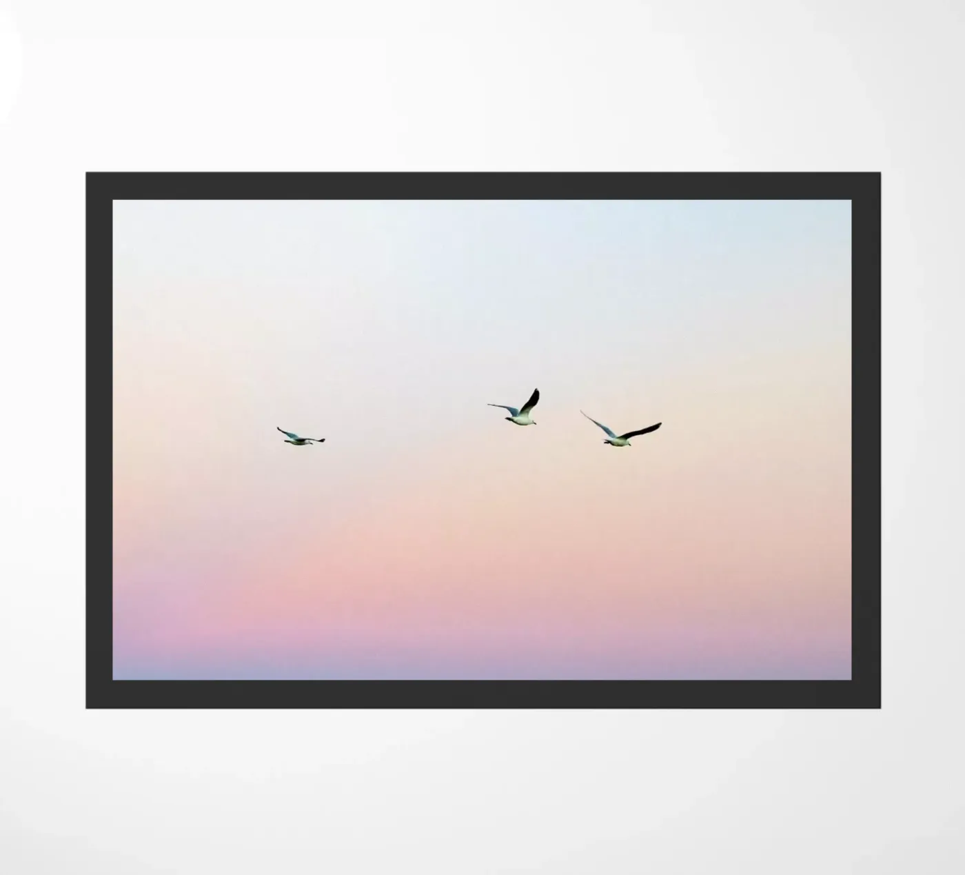 Skyporn zerbino da Charlotte Curd