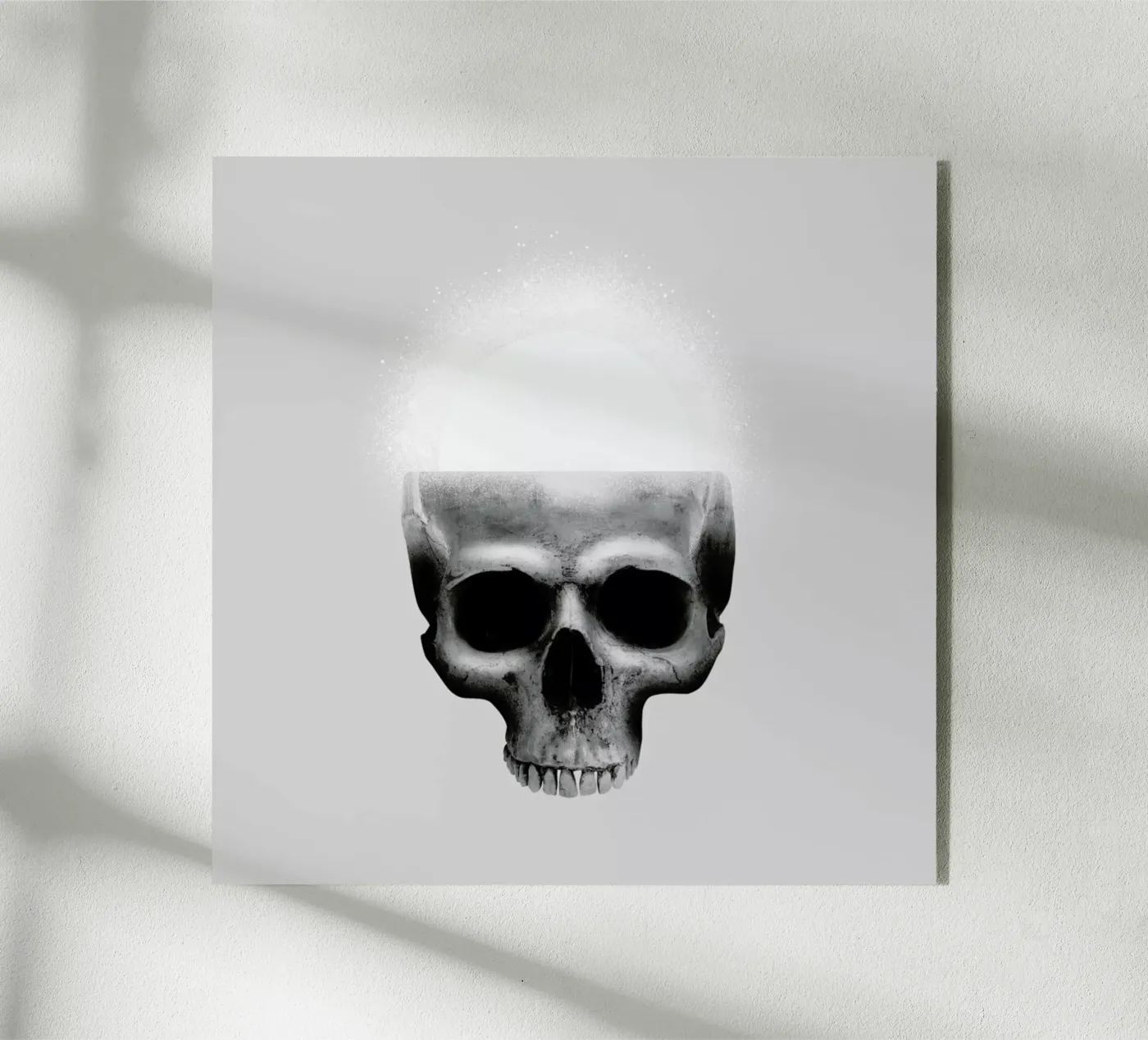 Skull Rise plexiglass da Chris Wharton
