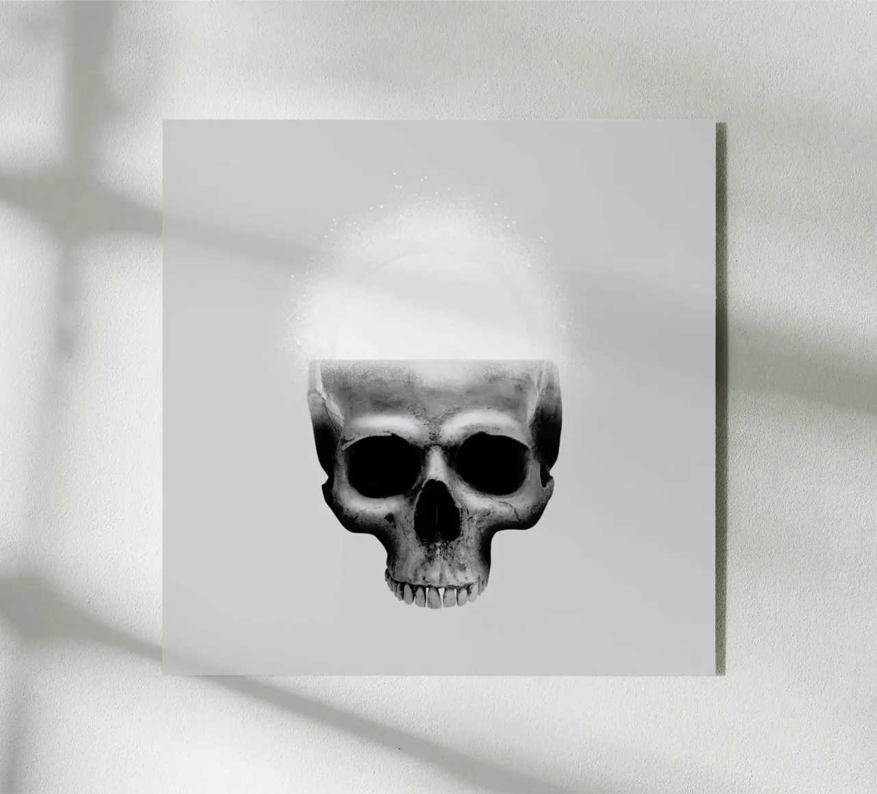 Skull Rise plexiglass da Chris Wharton