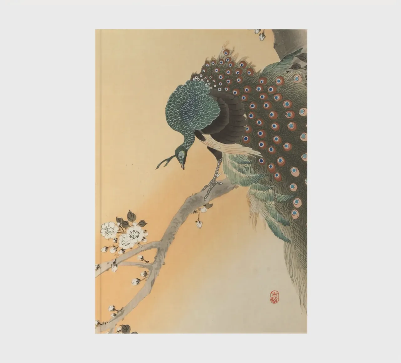 Peacock in cherry tree - Ohara Koson notebook by William Store