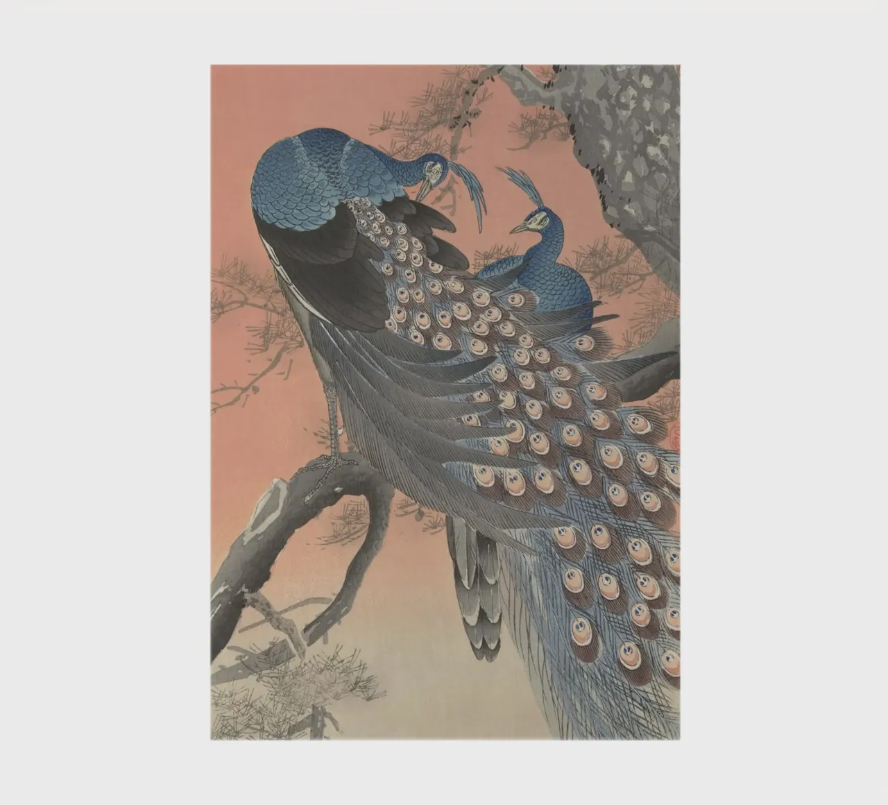 Two peacocks on tree branch - Ohara Koson notebook by William Store