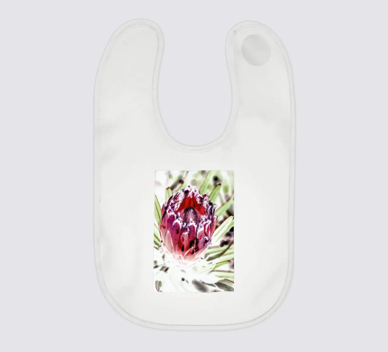 Wild Protea bavaglino da Shot By Clint