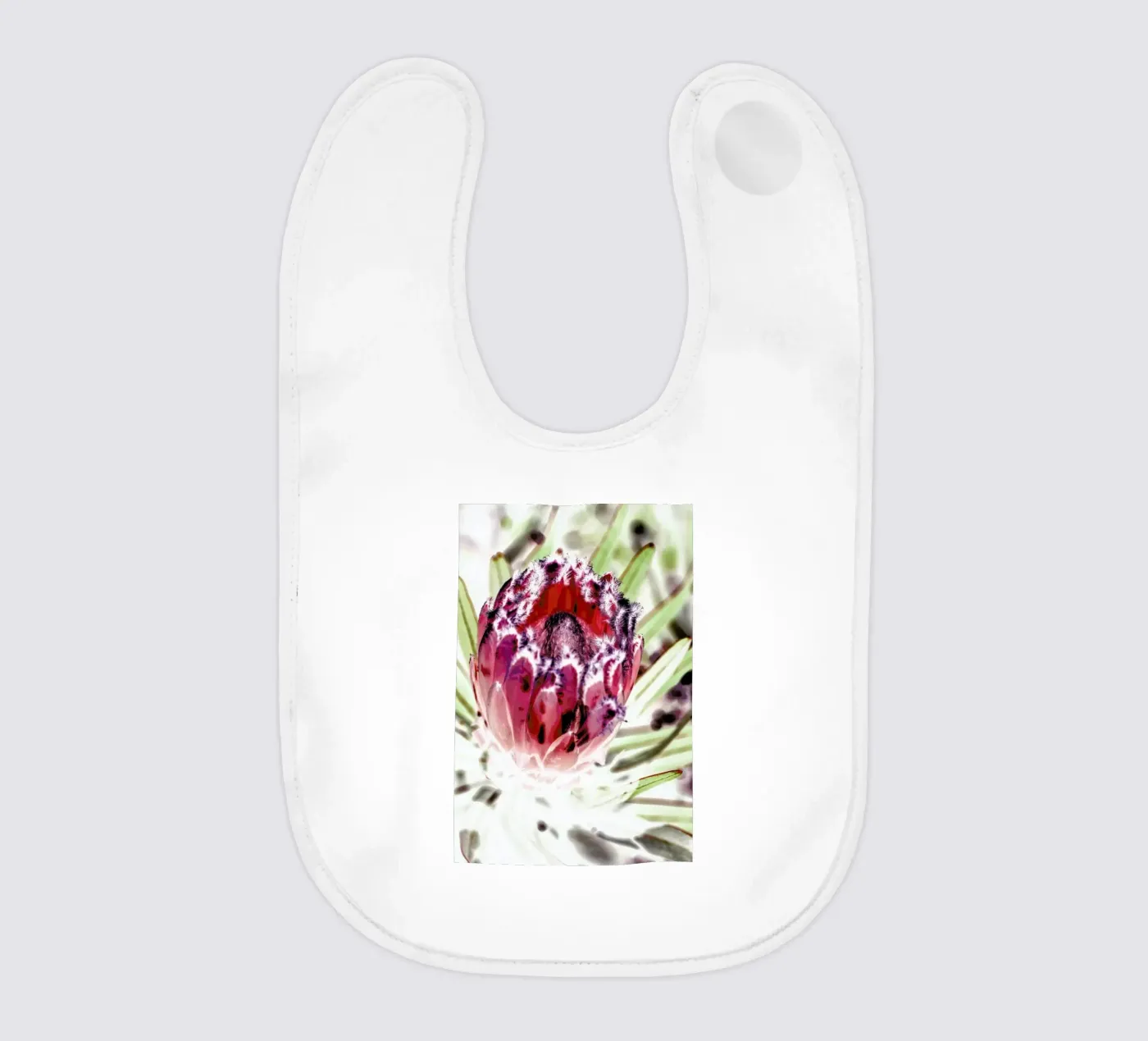 Wild Protea bavaglino da Shot By Clint