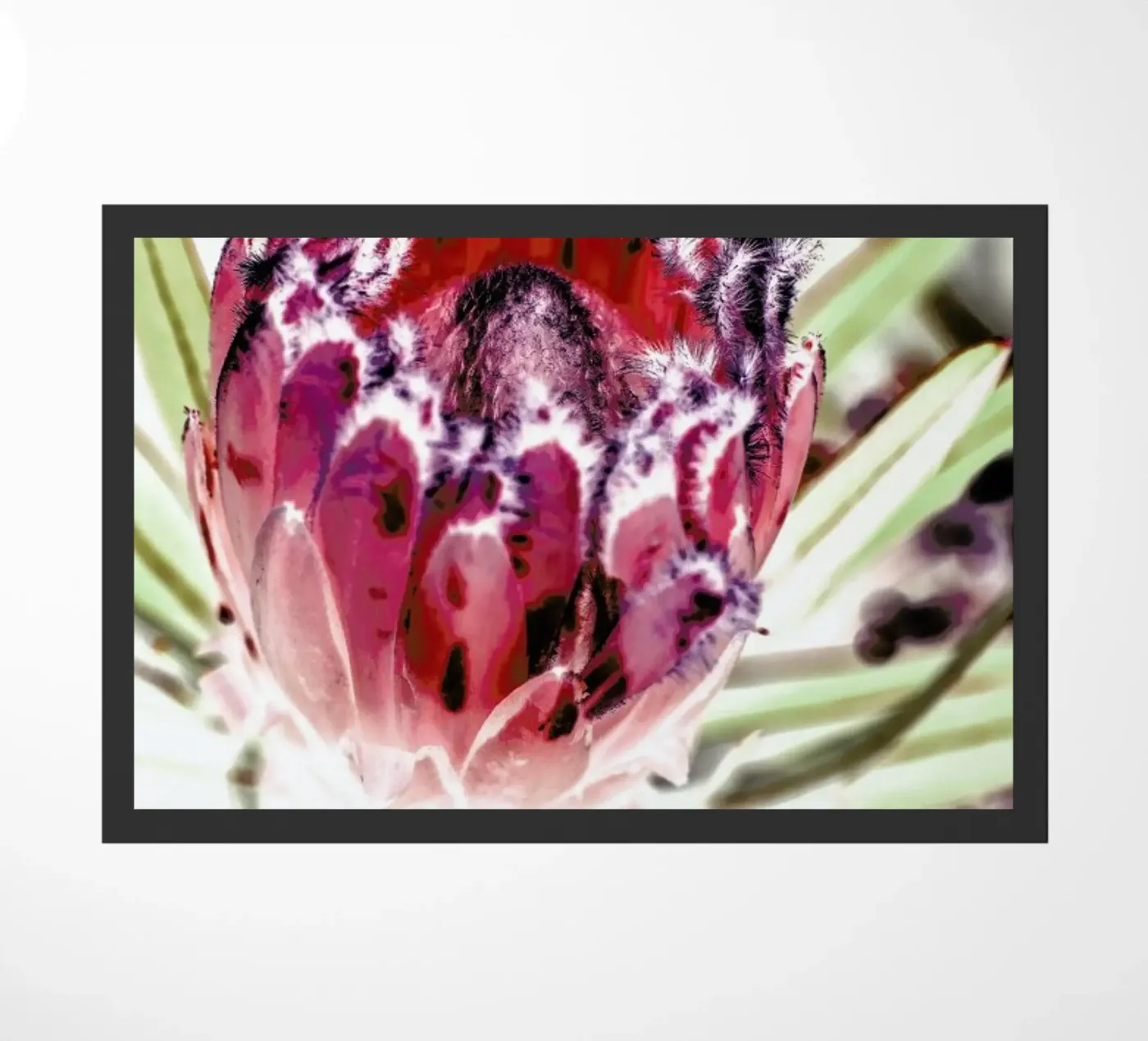 Wild Protea doormat by Shot By Clint