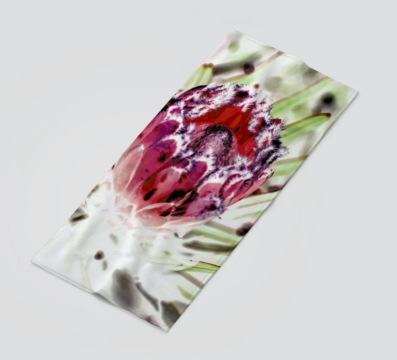 Wild Protea telo mare da Shot By Clint