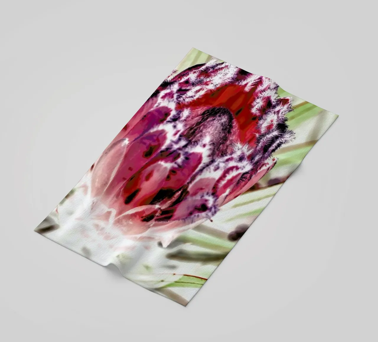 Wild Protea telo mare da Shot By Clint