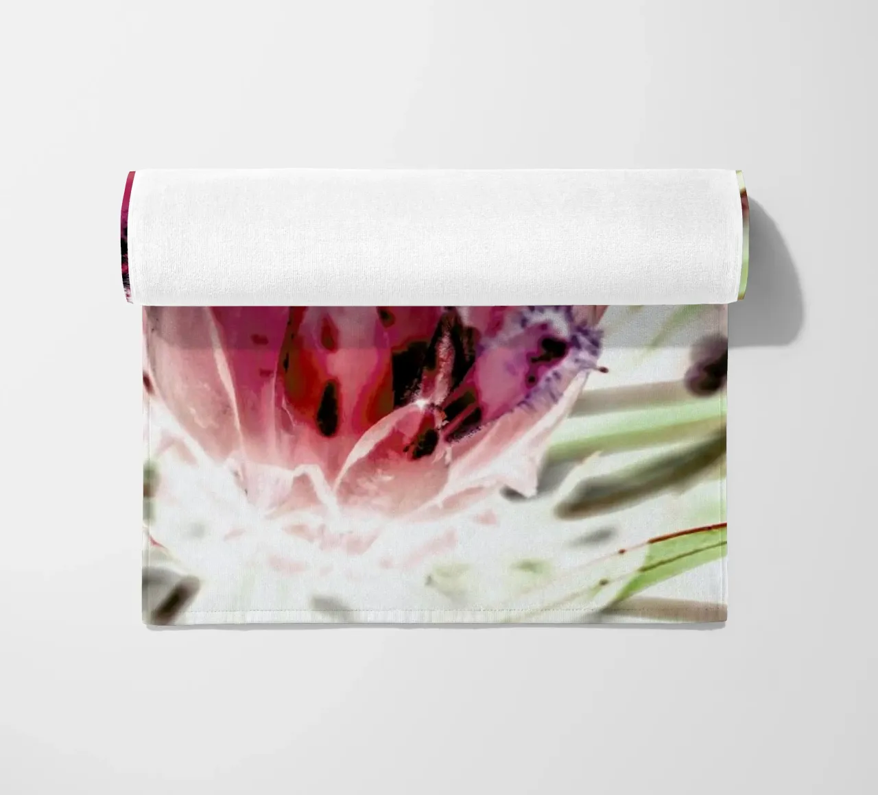 Wild Protea telo mare da Shot By Clint