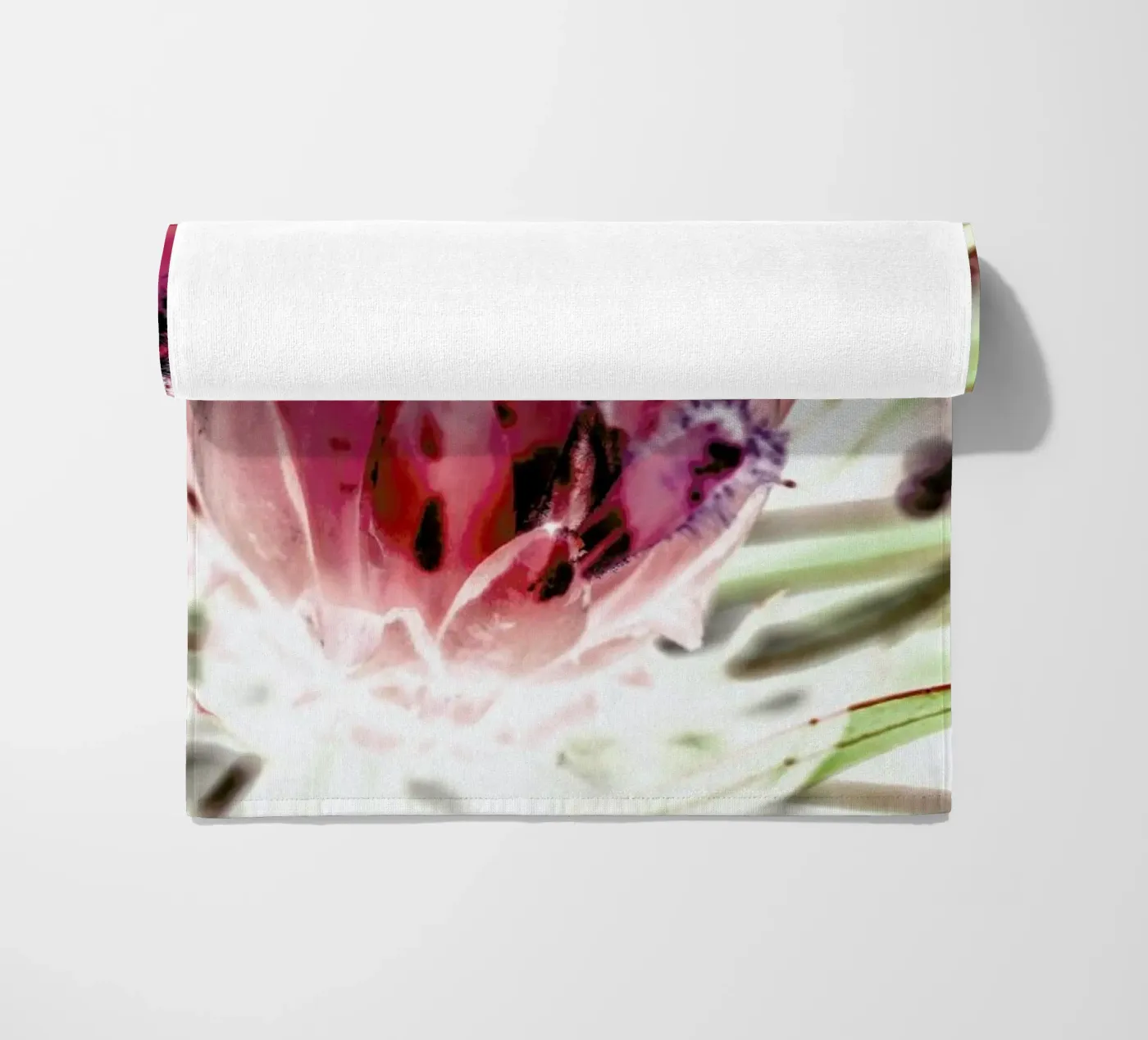 Wild Protea telo mare da Shot By Clint