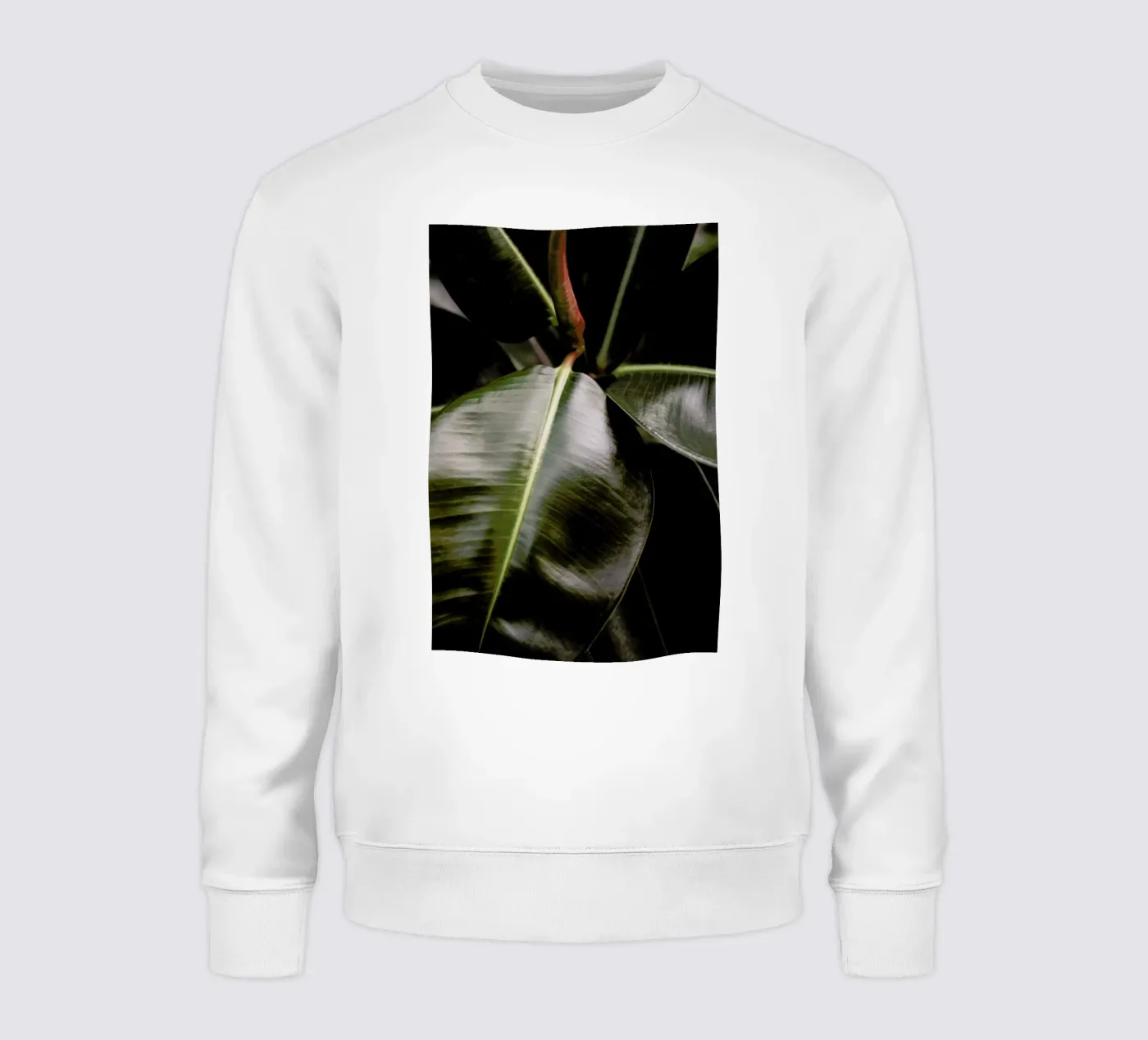 Ficus Bubu felpa da Shot By Clint