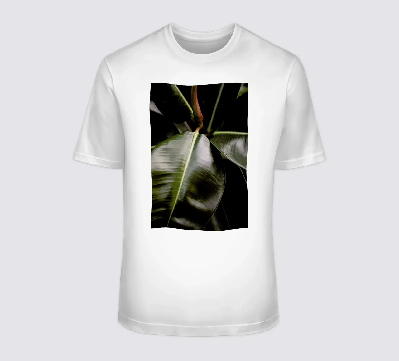 Ficus Bubu t-shirt da Shot By Clint
