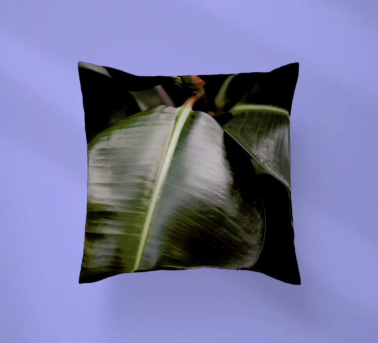 Ficus Bubu cuscino da Shot By Clint