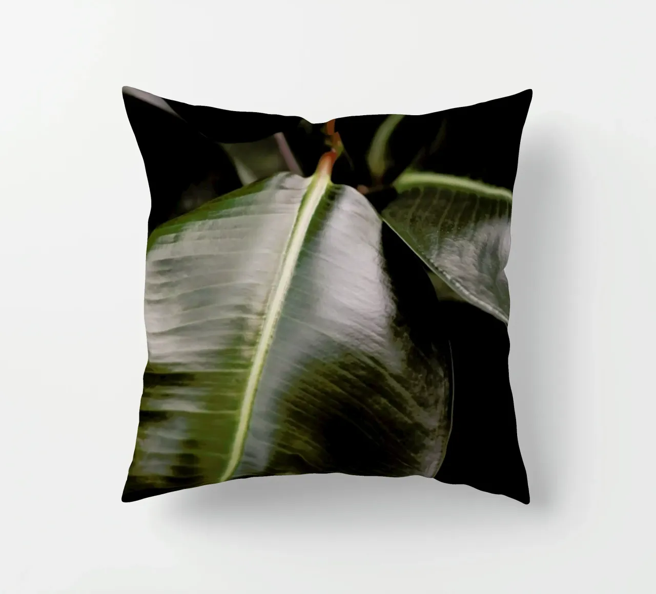 Ficus Bubu cuscino da Shot By Clint