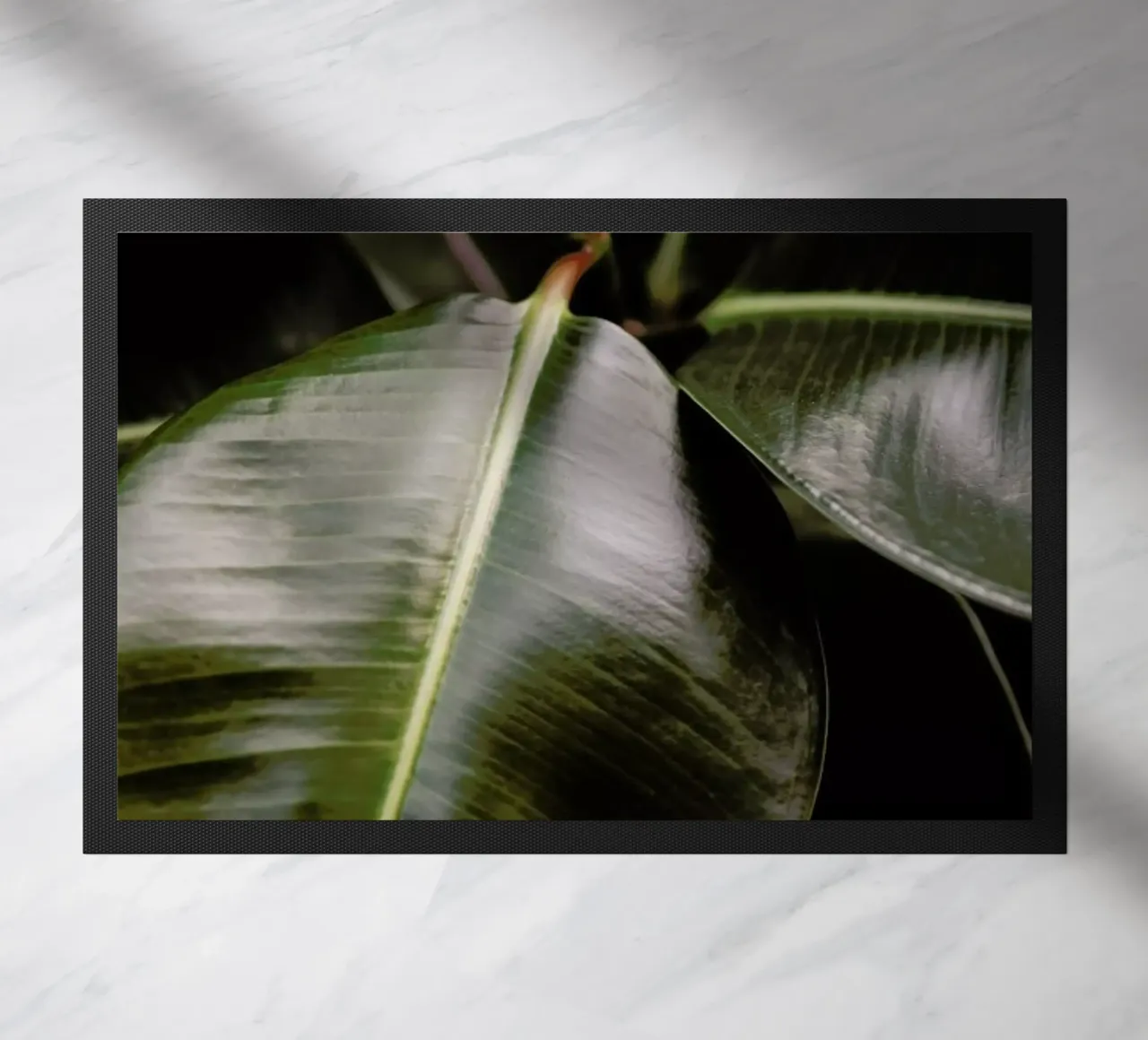 Ficus Bubu deurmat van Shot By Clint