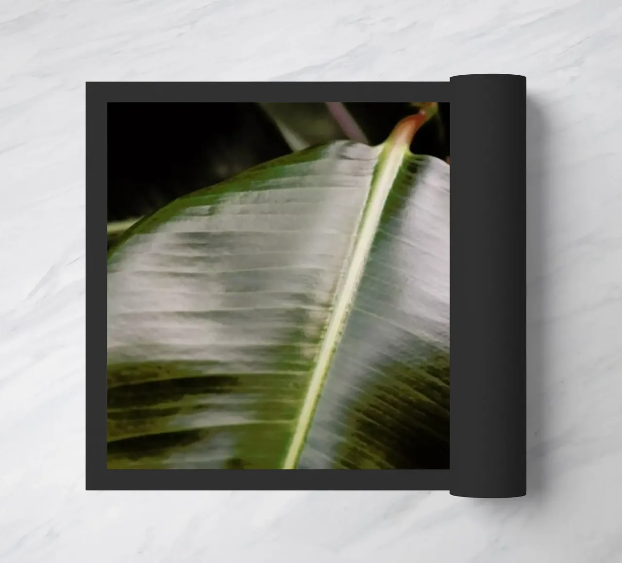 Ficus Bubu deurmat van Shot By Clint