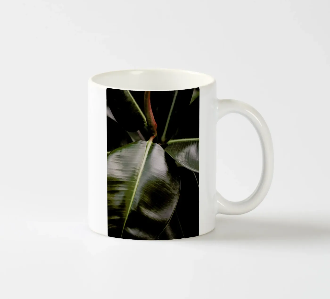 Ficus Bubu ceramic mug by Shot By Clint