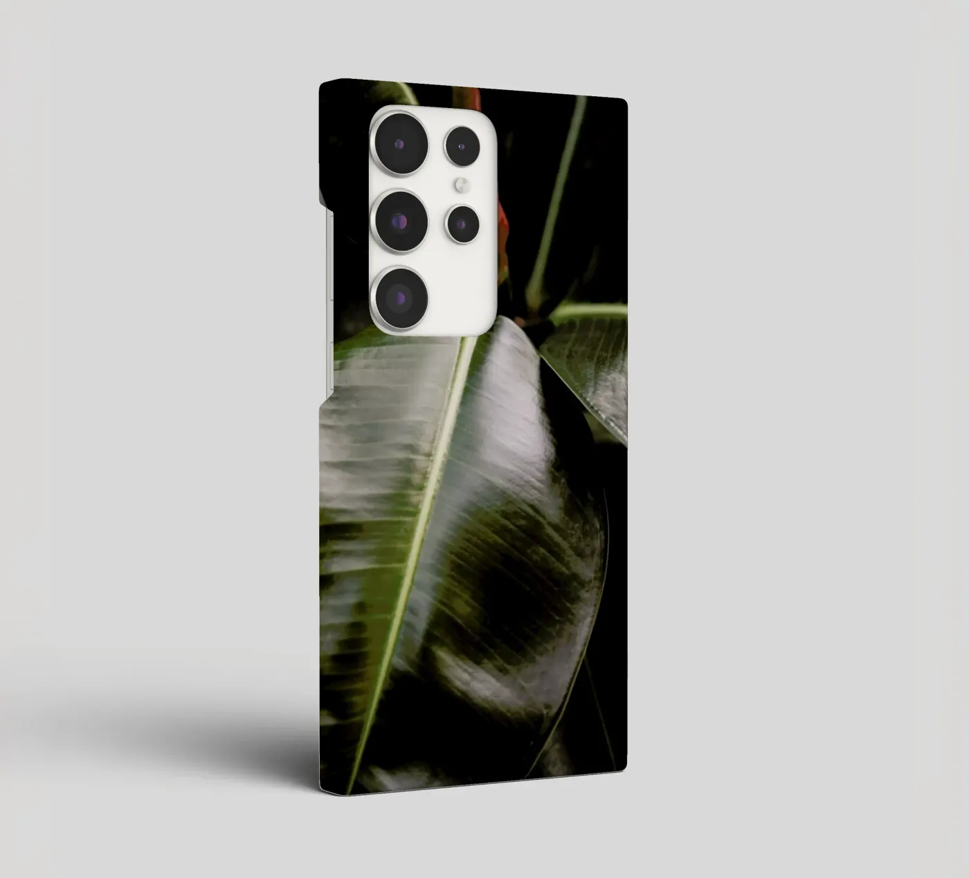 Ficus Bubu cover samsung da Shot By Clint