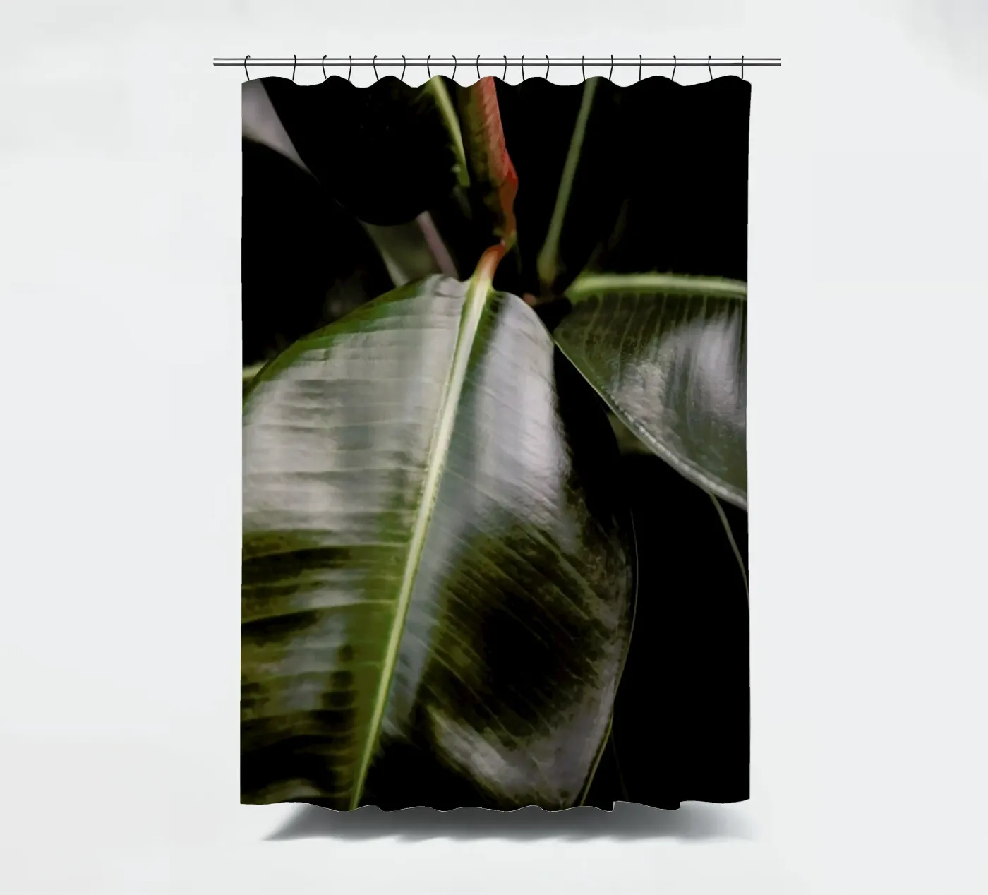 Ficus Bubu Duschvorhang von Shot By Clint