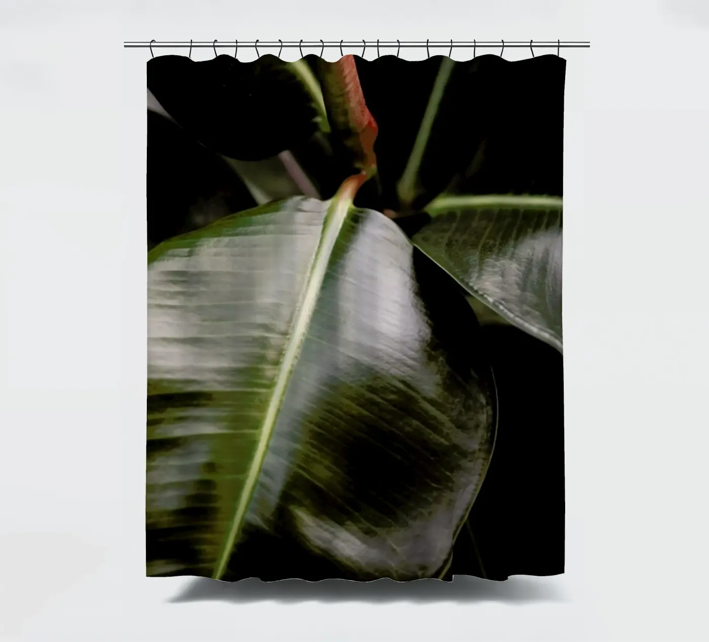 Ficus Bubu Duschvorhang von Shot By Clint