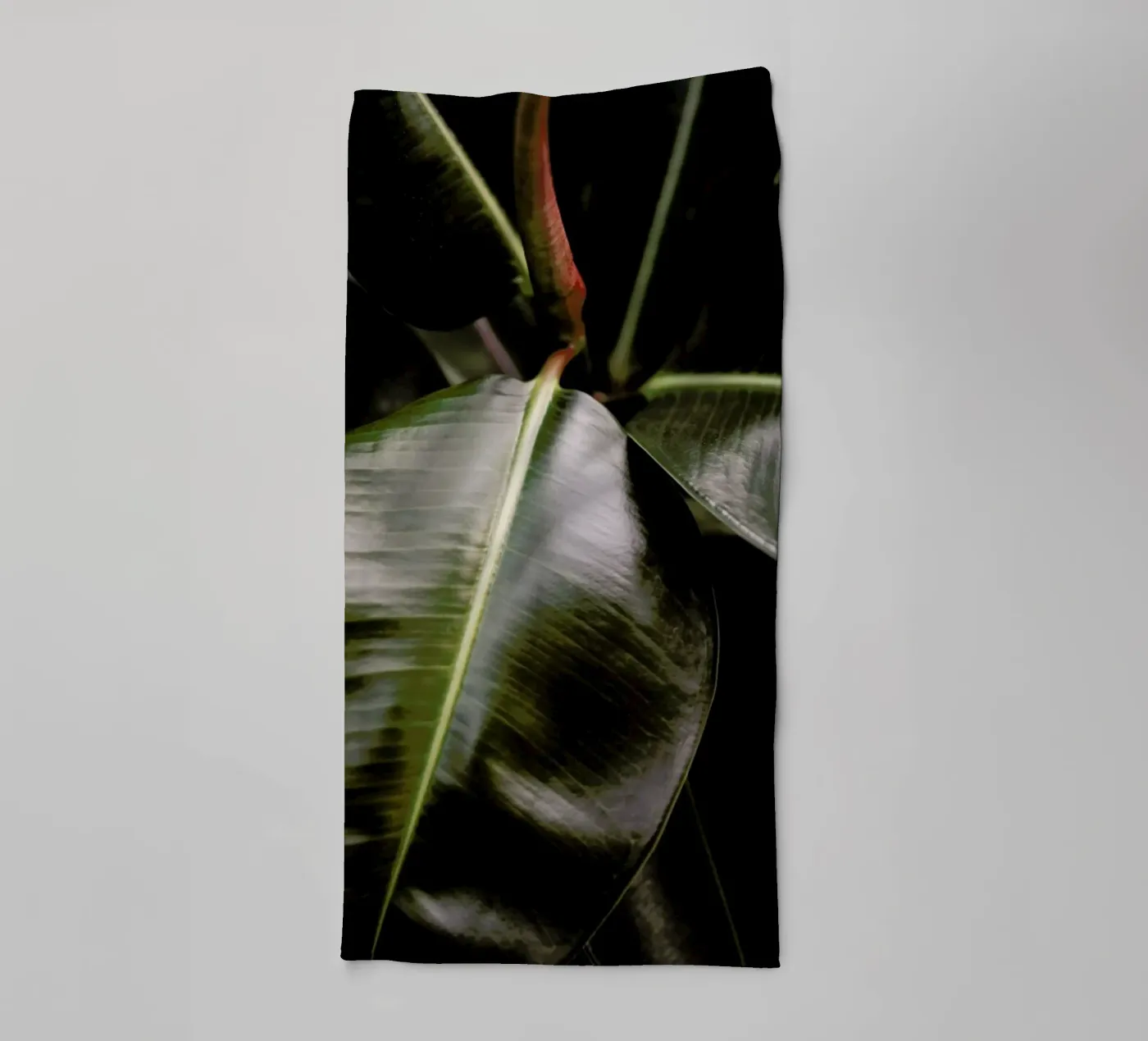 Ficus Bubu asciugamano da bagno da Shot By Clint