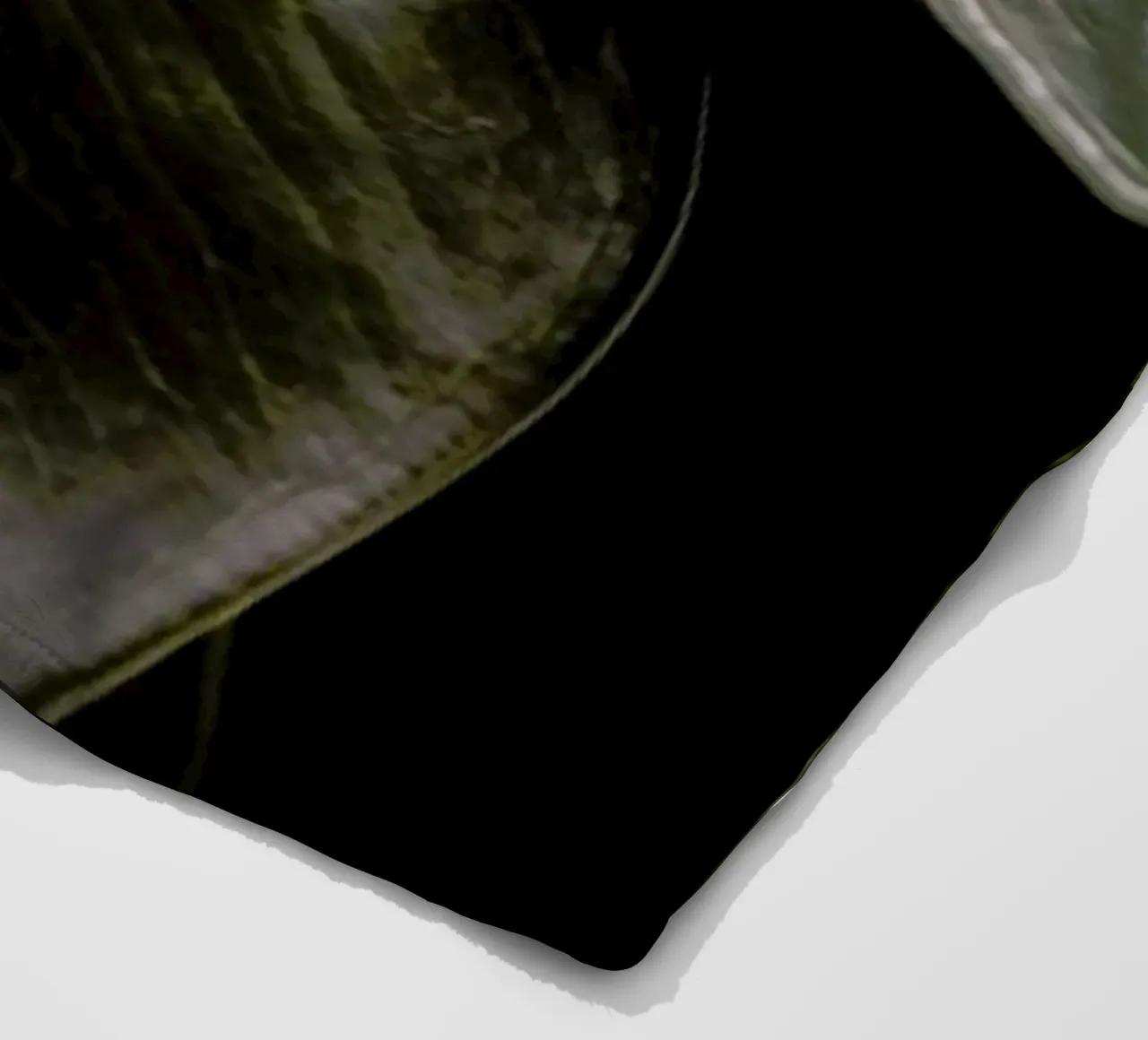 Ficus Bubu Fleecedecke von Shot By Clint