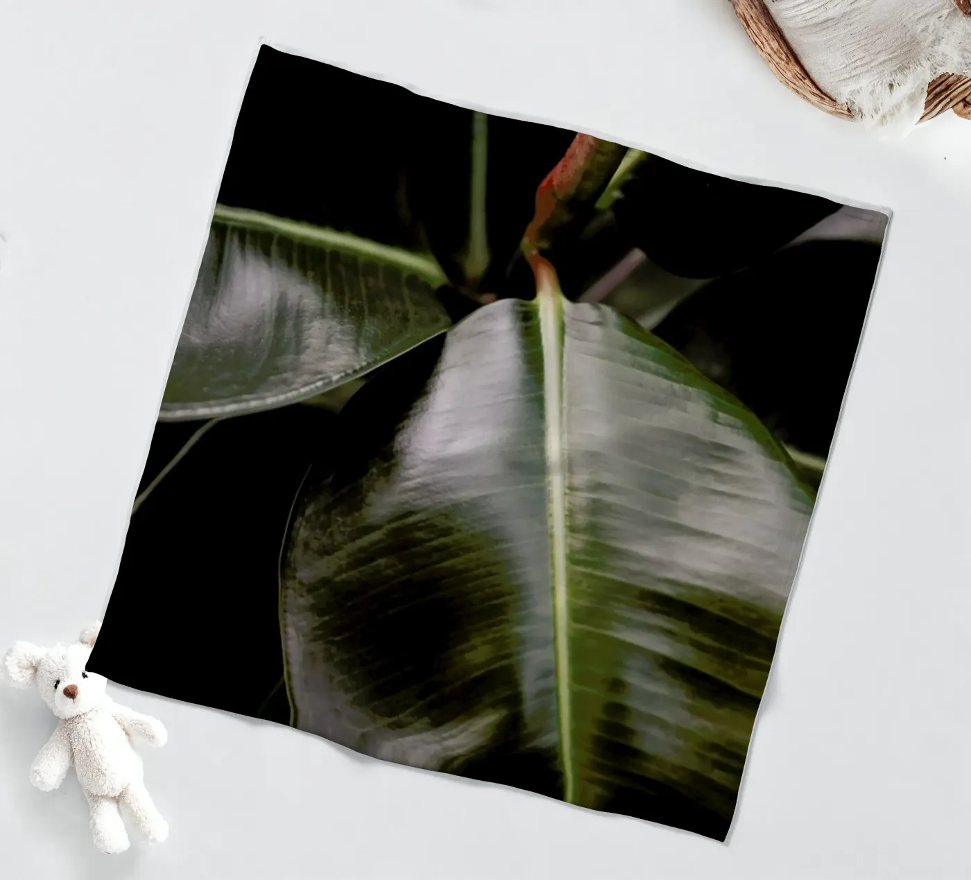 Ficus Bubu fleecedeken van Shot By Clint