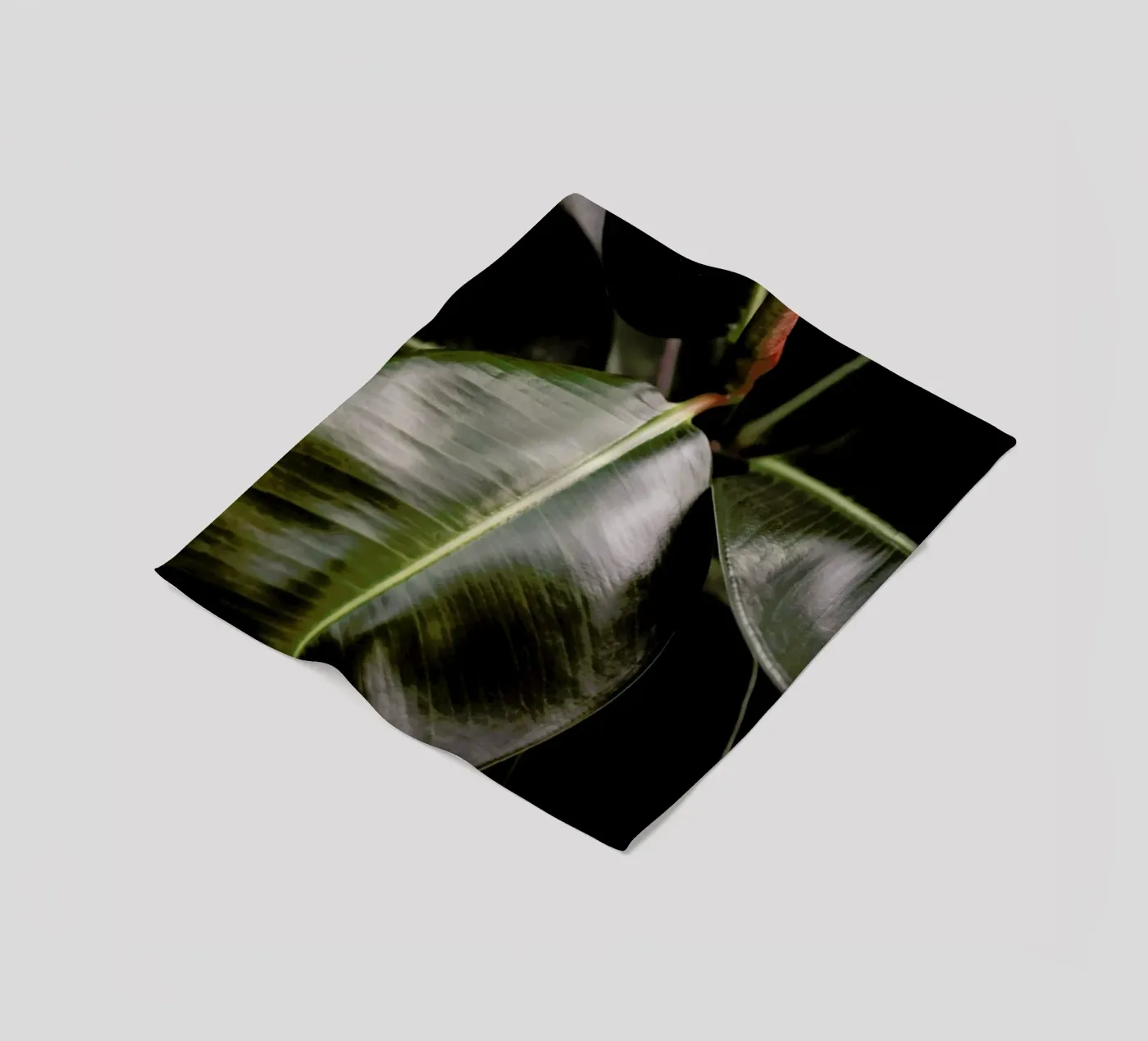 Ficus Bubu fleecedeken van Shot By Clint