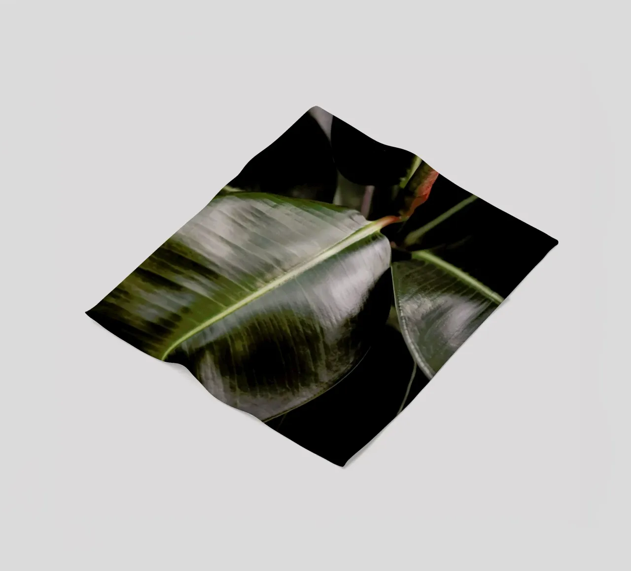 Ficus Bubu Fleecedecke von Shot By Clint