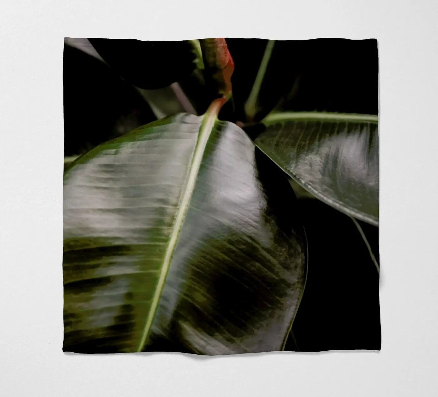 Ficus Bubu fleecedeken van Shot By Clint