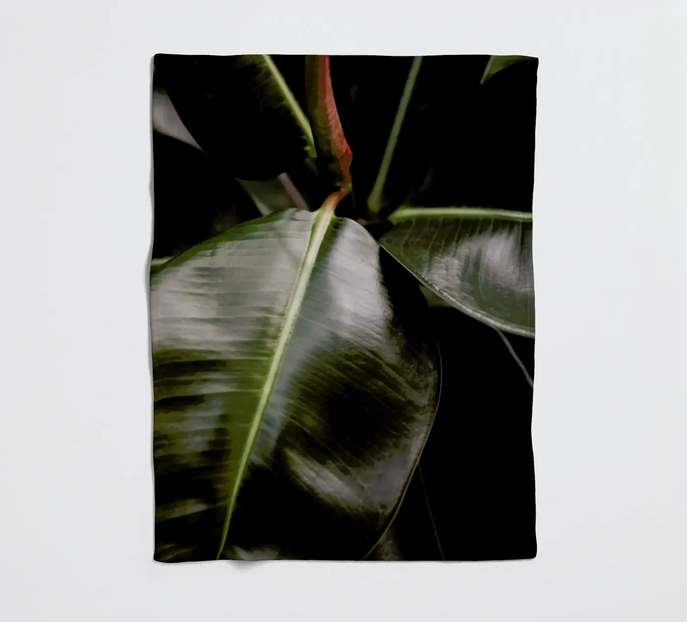 Ficus Bubu fleece blanket by Shot By Clint