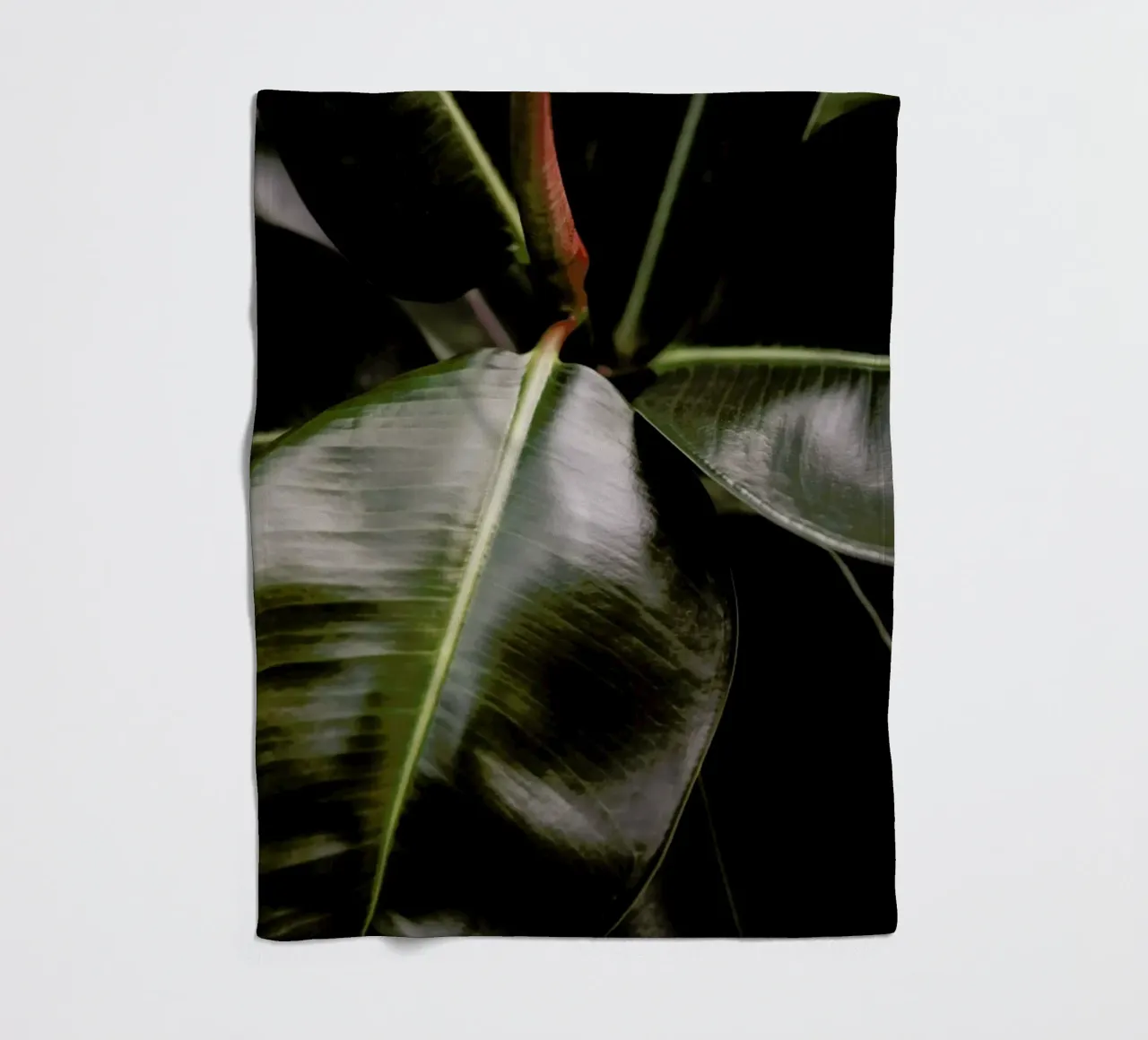 Ficus Bubu Fleecedecke von Shot By Clint