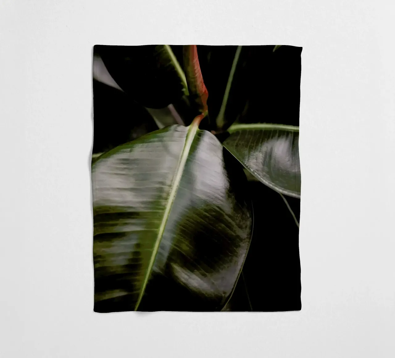 Ficus Bubu Fleecedecke von Shot By Clint