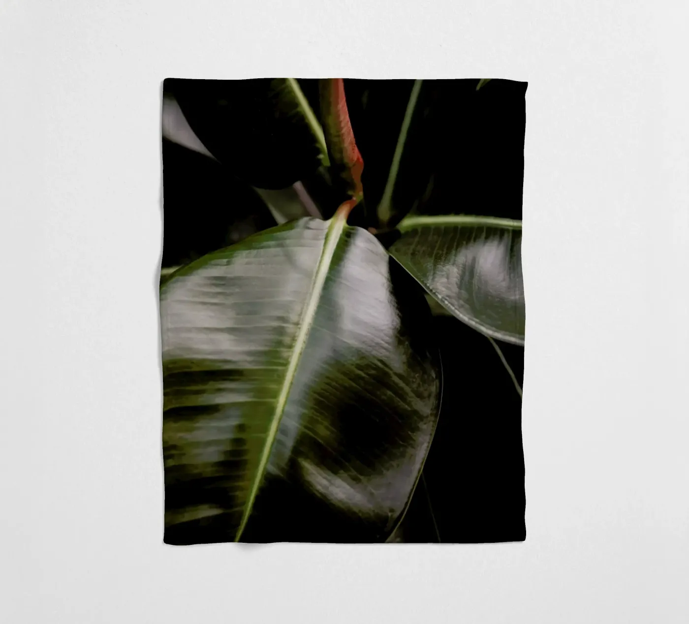 Ficus Bubu fleecedeken van Shot By Clint