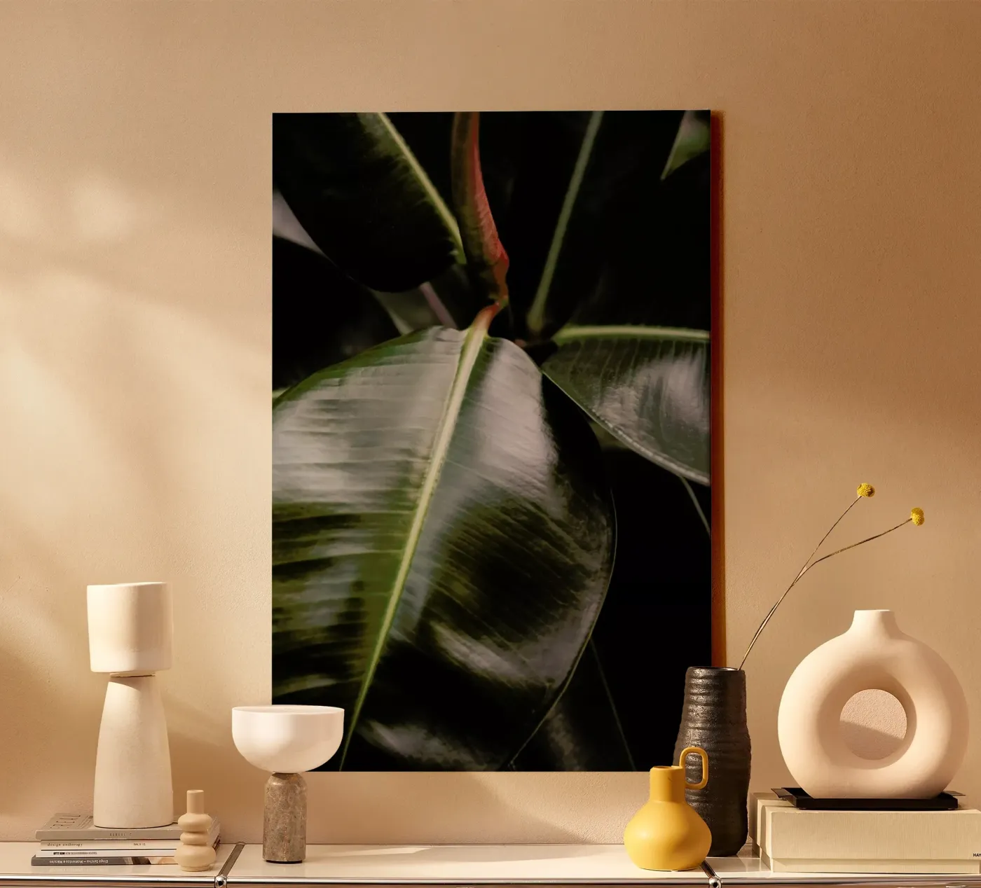 Ficus Bubu tela da Shot By Clint