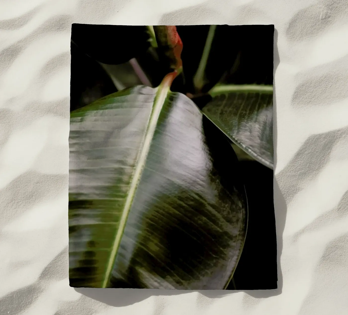 Ficus Bubu serviette de plage de Shot By Clint