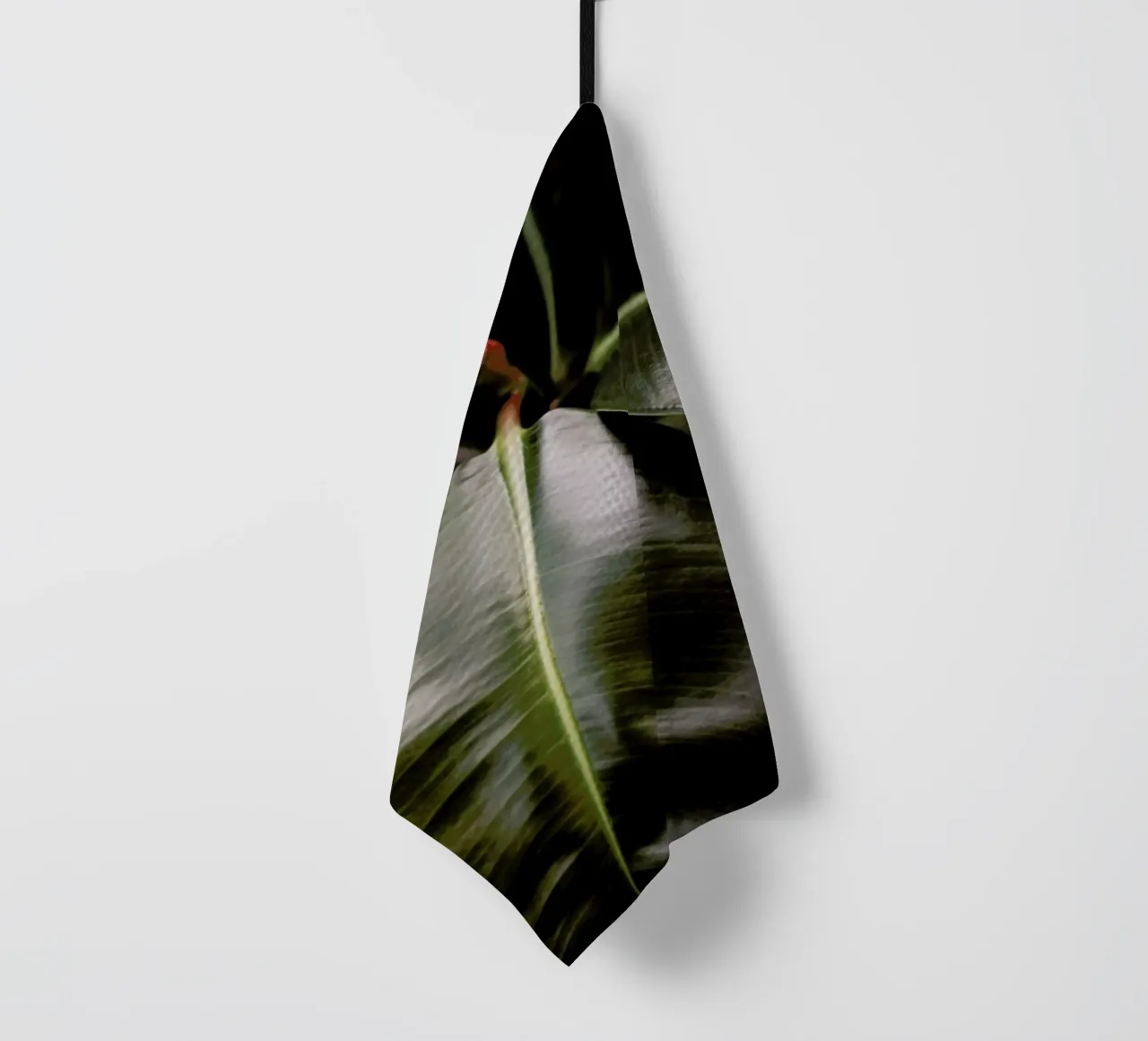 Ficus Bubu canovaccio da cucina da Shot By Clint