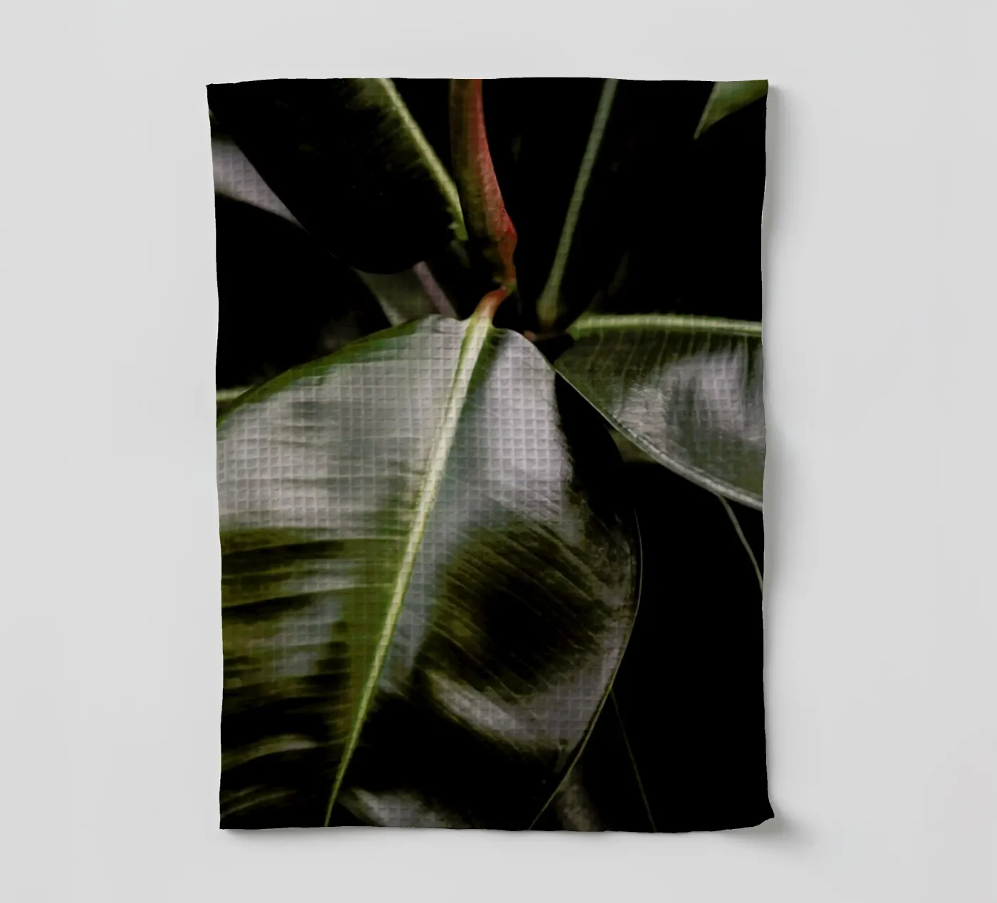 Ficus Bubu Geschirrtuch von Shot By Clint