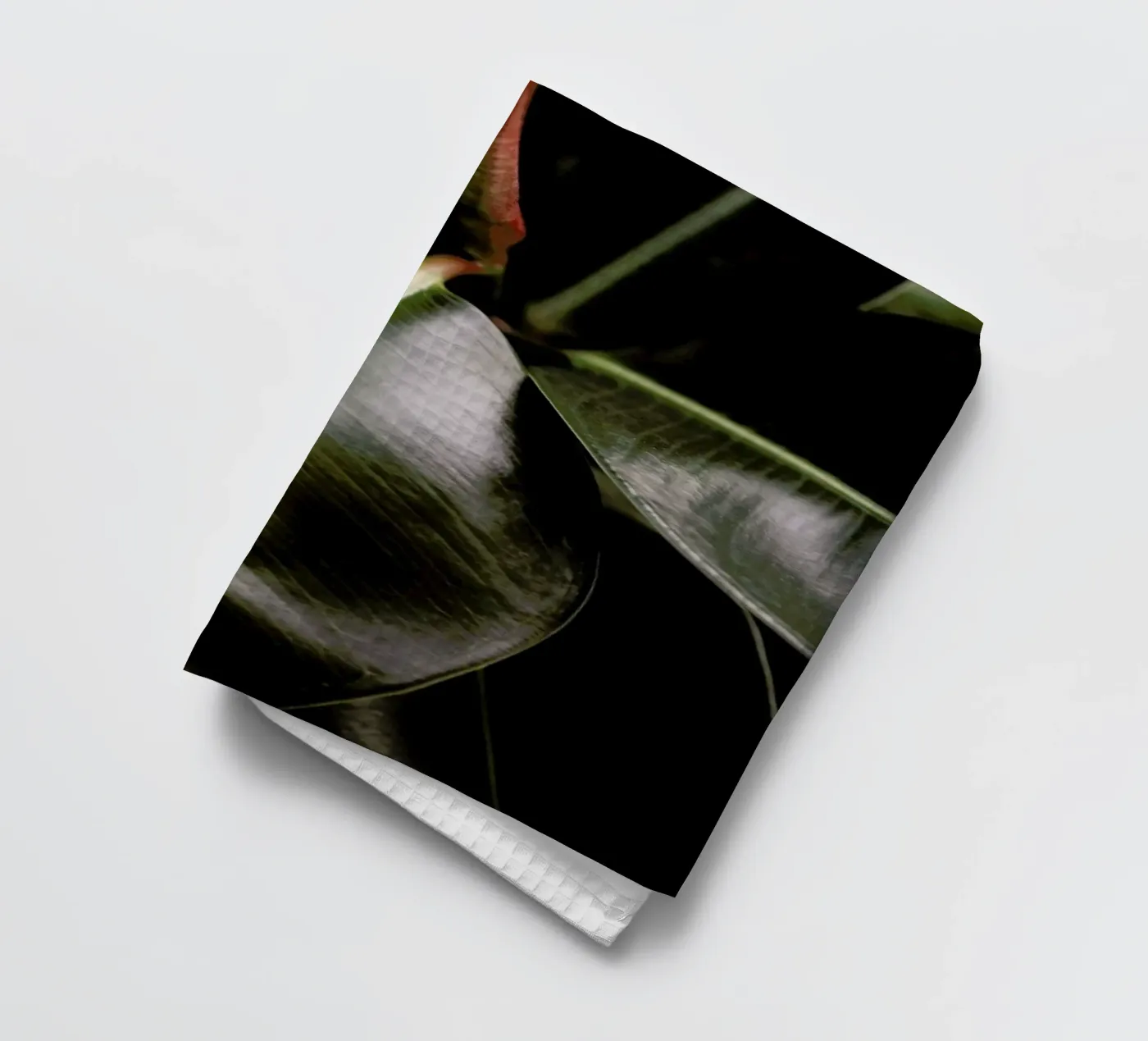 Ficus Bubu Geschirrtuch von Shot By Clint