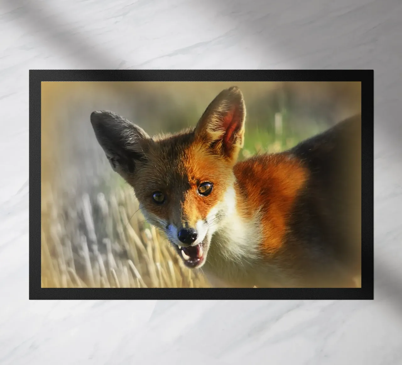 FAA208 zerbino da Thierry vobmann photography